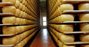 قیمت عمده پنیر پارمسان در ایران