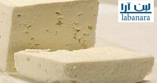 تولید پنیر تبریز