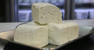فروش پنیر لیقوان