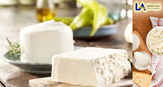 پنیر سفید ایرانی 100 گرمی