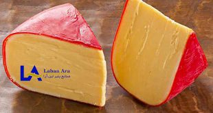 پنیر گودا قالبی اصل