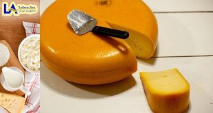 قیمت فروش پنیر چدار