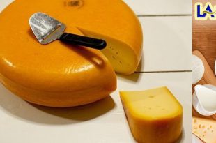 خرید پنیر چدار