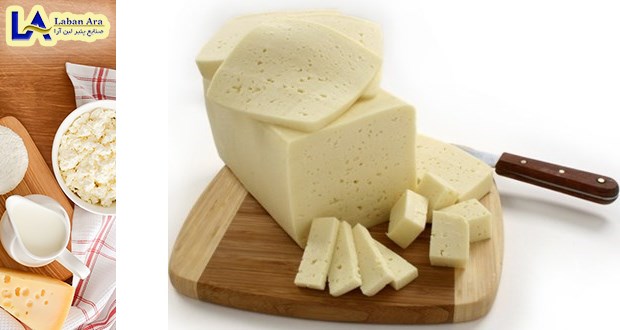 انواع پنیر پارمزان ورقه ای و پودری
