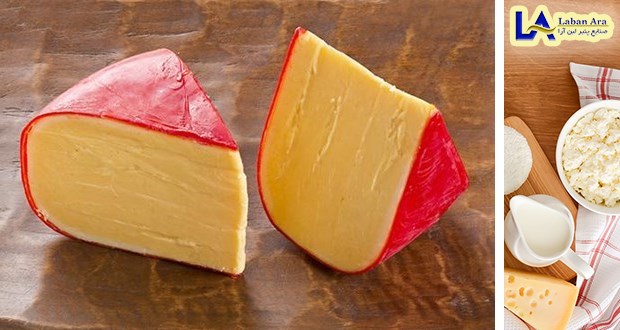 تولید پنیر قرمز در سلماس