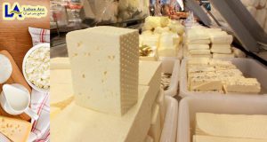انواع پنیر قالبی و ورقه ای گودا